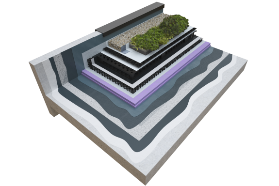 Pro-BW Plus® Build up