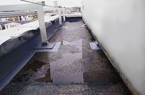 Case studies for 50, Berkeley Street, Mayfair for Proteus Waterproofing